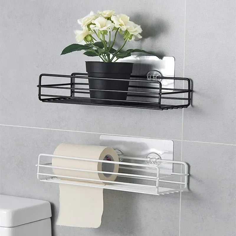 Casssa Floating Wall Shelf Metal Organizer