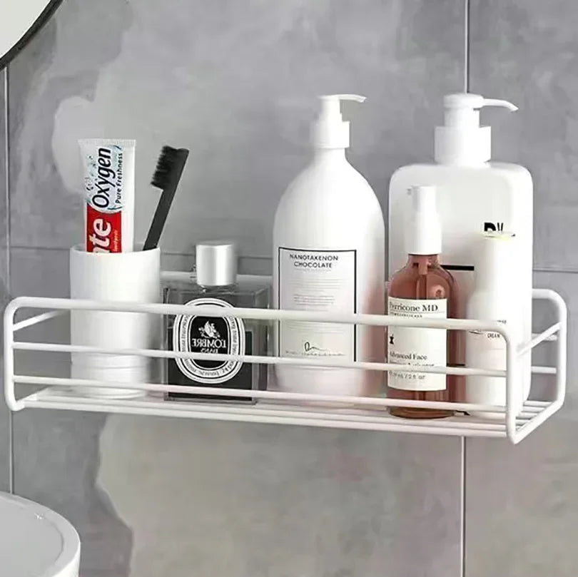 Casssa Floating Wall Shelf Metal Organizer